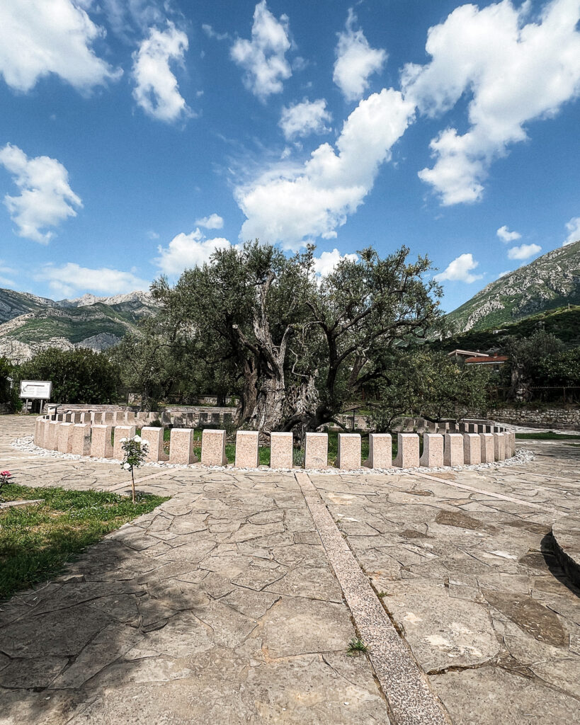 Czarnogóra samochodem - Stary Bar