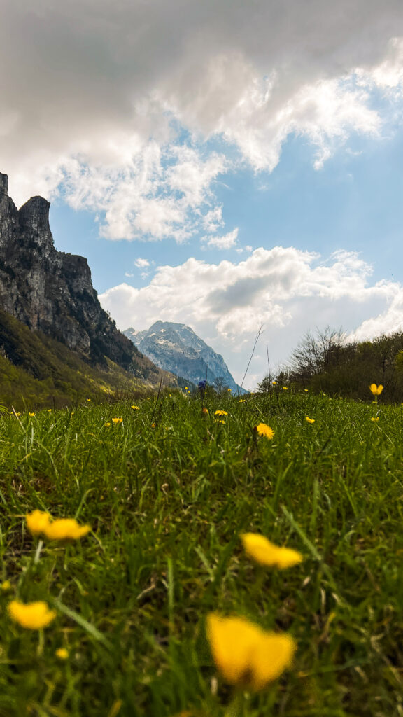 Czarnogóra samochodem - Dolina Ropojana